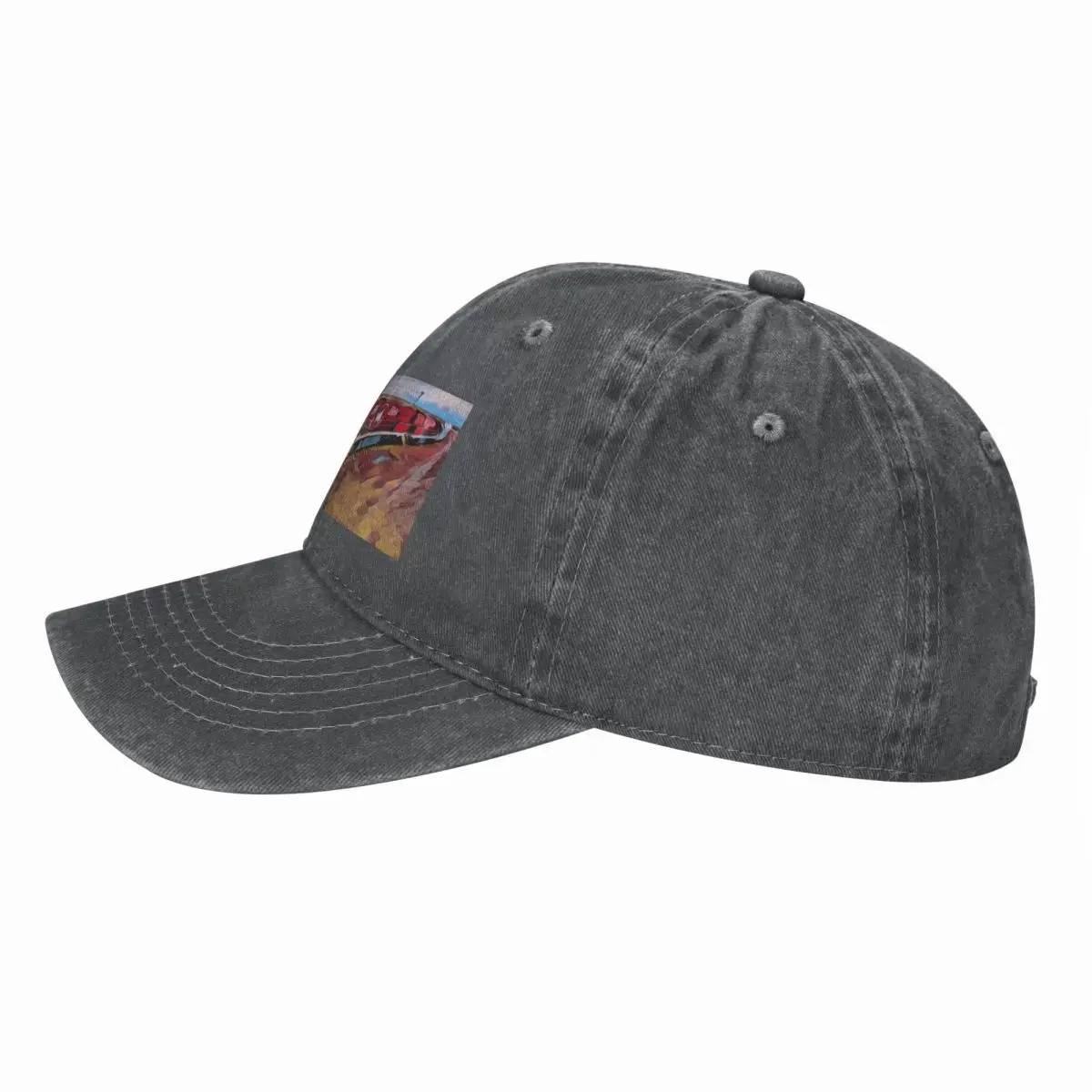 The Ghan Train Australia 야구 모자 - Streetwear Brand Hats 리뷰 및 가격